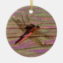 Suche nach dragonfly ornamente Natur