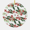 Suche nach natur inspiriert schmuck Weihnachten