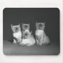 Recherche de siamois tapis souris Horizontal