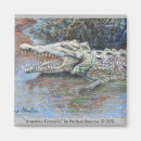 Recherche de crocodiles magnets Reptile
