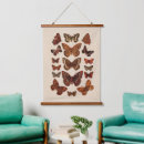 Recherche de vintage butterfly posters Bugs