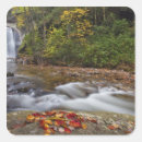 Recherche de glass autocollants Automne