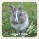 Suche nach kaninchen untersetzer Flüssig