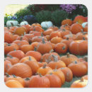Recherche de chrysanthème autocollants Automne