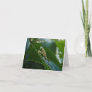 Suche nach wanze alle karten Betender mantis