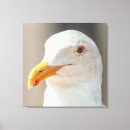 Suche nach seegras kunst Wild