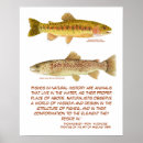 Recherche de truite posters Mouche