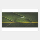 Recherche de veines autocollants Plante