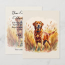 Recherche de chien labrador invitations Animaux de compagnie