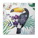 Recherche de oiseaux tropicaux carreaux Animaux