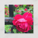 Recherche de goutte de pluie cartes visite Floral