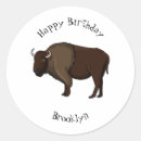 Suche nach bison aufkleber Büffel