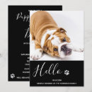 Recherche de pet party invitations Pour tous