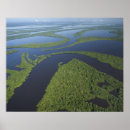 Recherche de amazonie posters Brasil