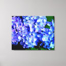Recherche de hortensia bleu art Élégant
