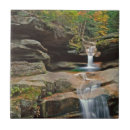 Suche nach hampshire fliesen Landschaft