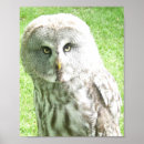 Recherche de oiseau curieux art Faune