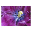 Recherche de keukenhof holland posters Nature