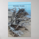 Suche nach driftwood poster Natur
