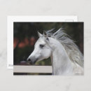 Suche nach arabische sprache postkarten Pferd