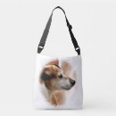 Recherche de jack russell sacs Animal