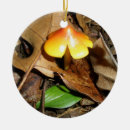 Suche nach roter pilz ornamente Wald