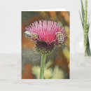 Suche nach blanko karten Gruß