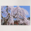 Recherche de cerisiers puzzles Fleur