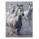 Suche nach derby kleine notizbücher Cowboy