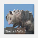 Recherche de maman possum Drôle