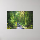Suche nach waldweg leinwandbilder Landschaft