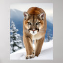 Recherche de coussin de de animal posters Chat