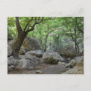 Recherche de lit cartes postales Calme