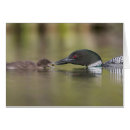 Recherche de gary cartes postales Canada