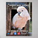 Recherche de agent immobilier posters Drôle