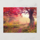 Suche nach heller wald postkarten Herbst