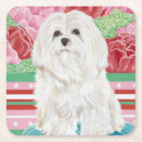 Recherche de animal familier bar Chien
