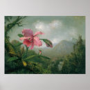 Recherche de heade martin johnson posters Tropical