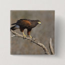 Suche nach raubvogel accessoires Jäger