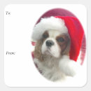 Recherche de cavaliers autocollants Chien