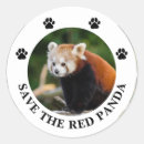 Recherche de panda roux autocollants Animal