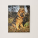 Recherche de alsacien puzzles Pour tous