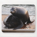 Recherche de lions tapis souris Mousepac