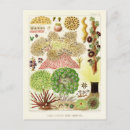 Recherche de bar cartes postales Illustration