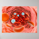 Suche nach molekularbiologie poster Dreidimensionale