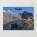 Recherche de nepal cartes postales Népal