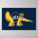 Recherche de anteaters posters Collège