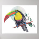 Recherche de peinture toucan Nature