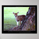 Suche nach baby deer poster Bambi