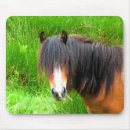 Recherche de poney mignon tapis souris Chevaux
